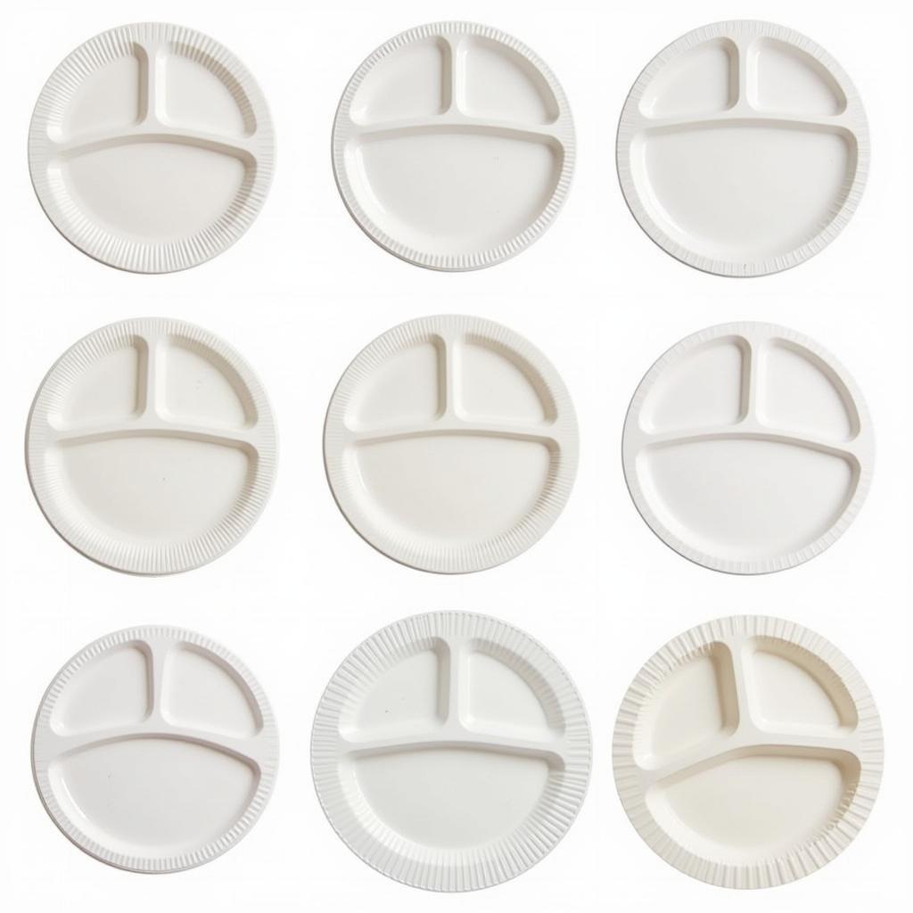 Variety of 5 Compartment Paper Plates