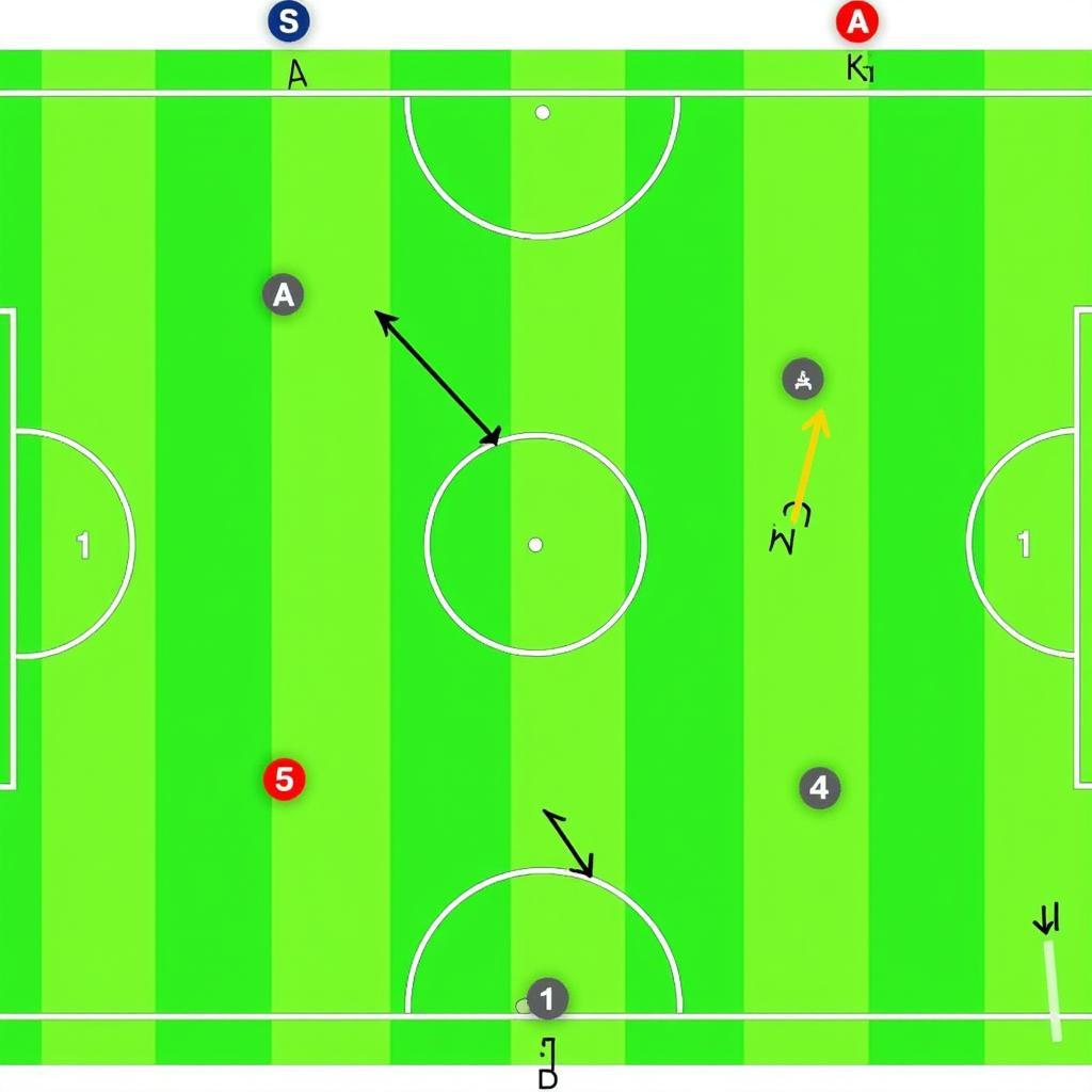 Soccer Field Setup for 5x5 Post Cap Drill