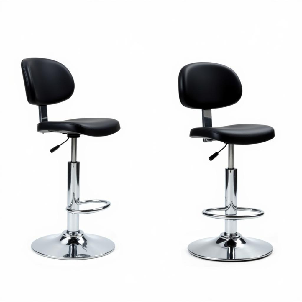 Adjustable Salon Stool with Backrest