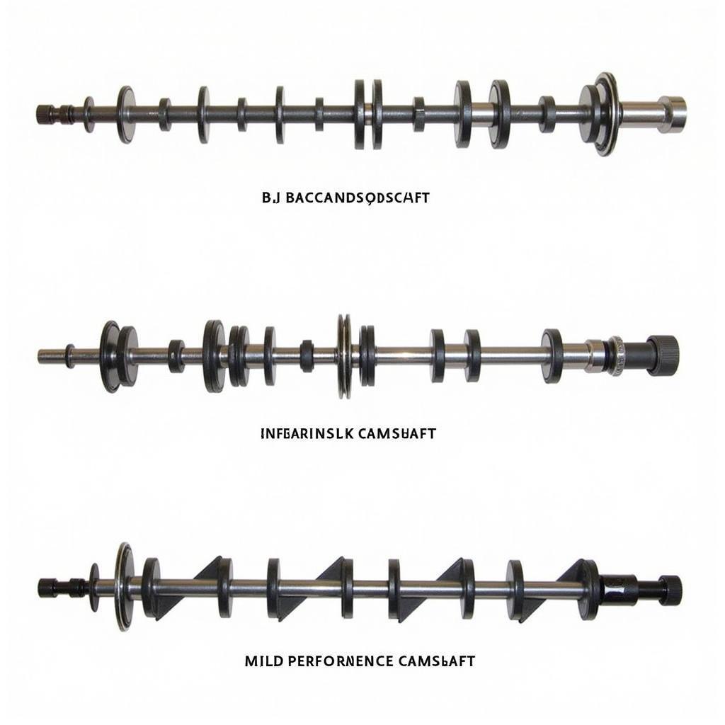 Types of B Series Camshafts