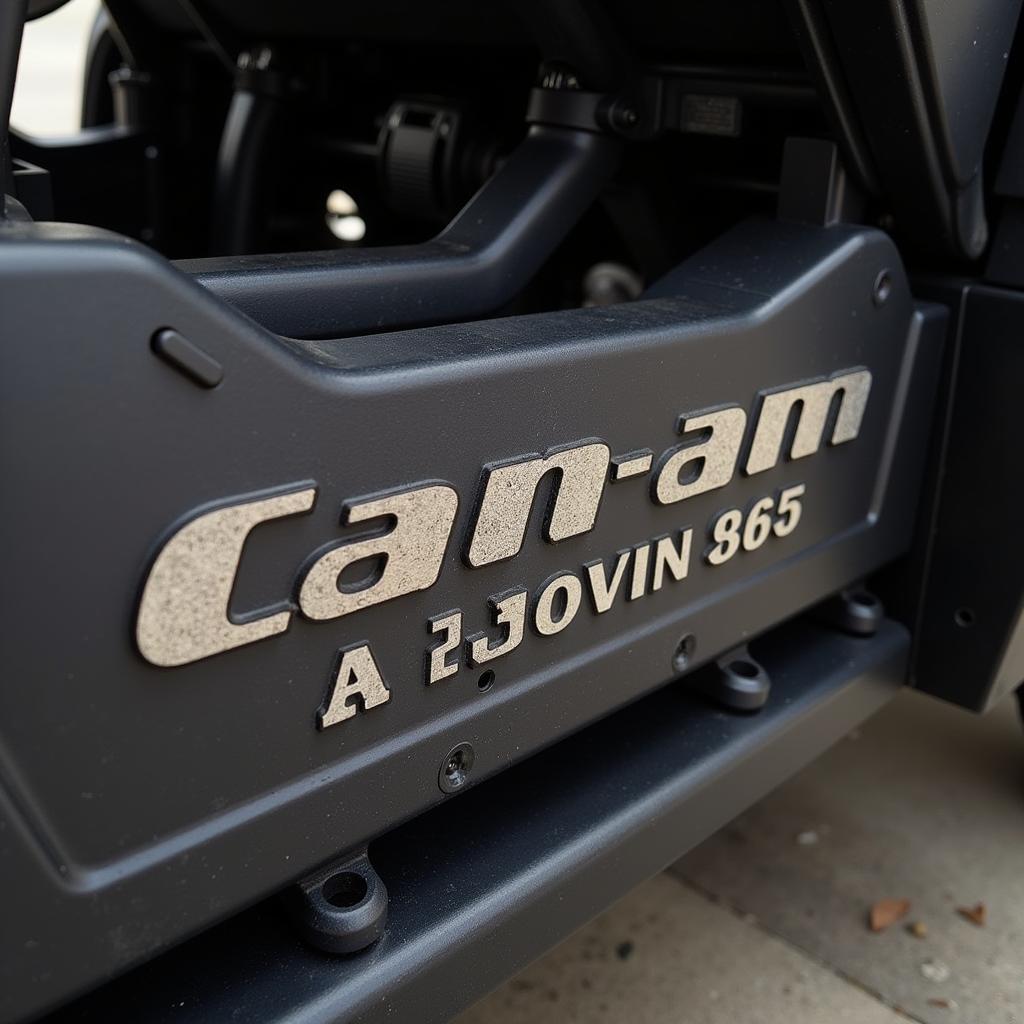 Example of a Can-Am Code on a Vehicle