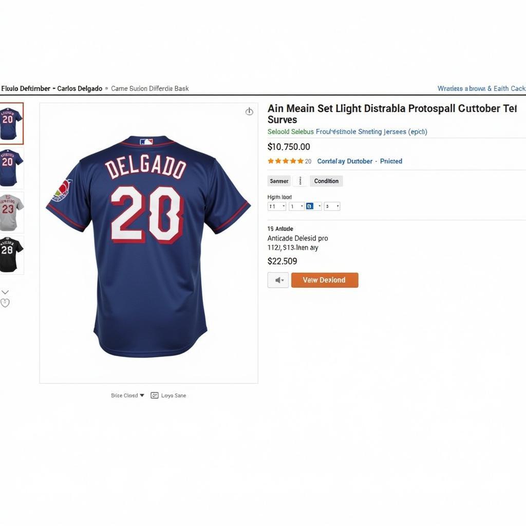 A screenshot of an online marketplace listing for a Carlos Delgado jersey.