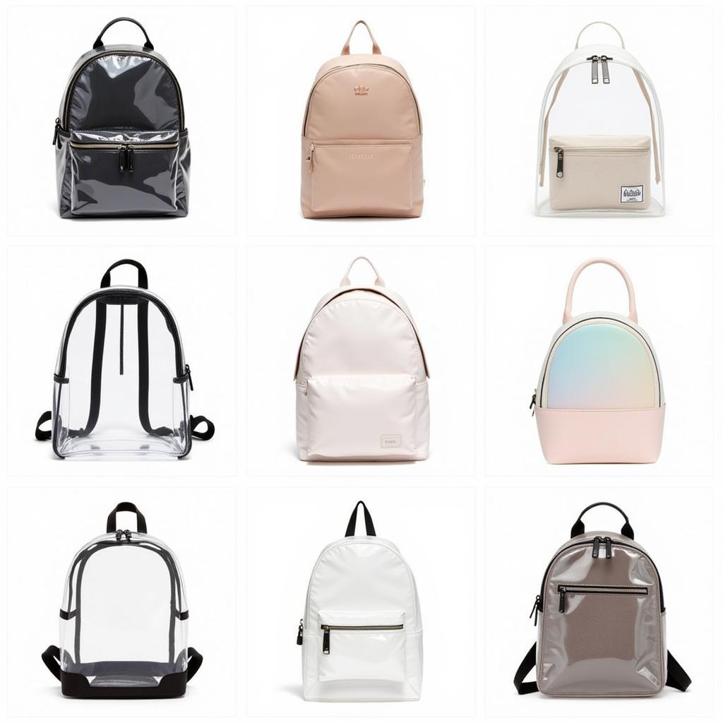 Different Styles of Clear Backpacks