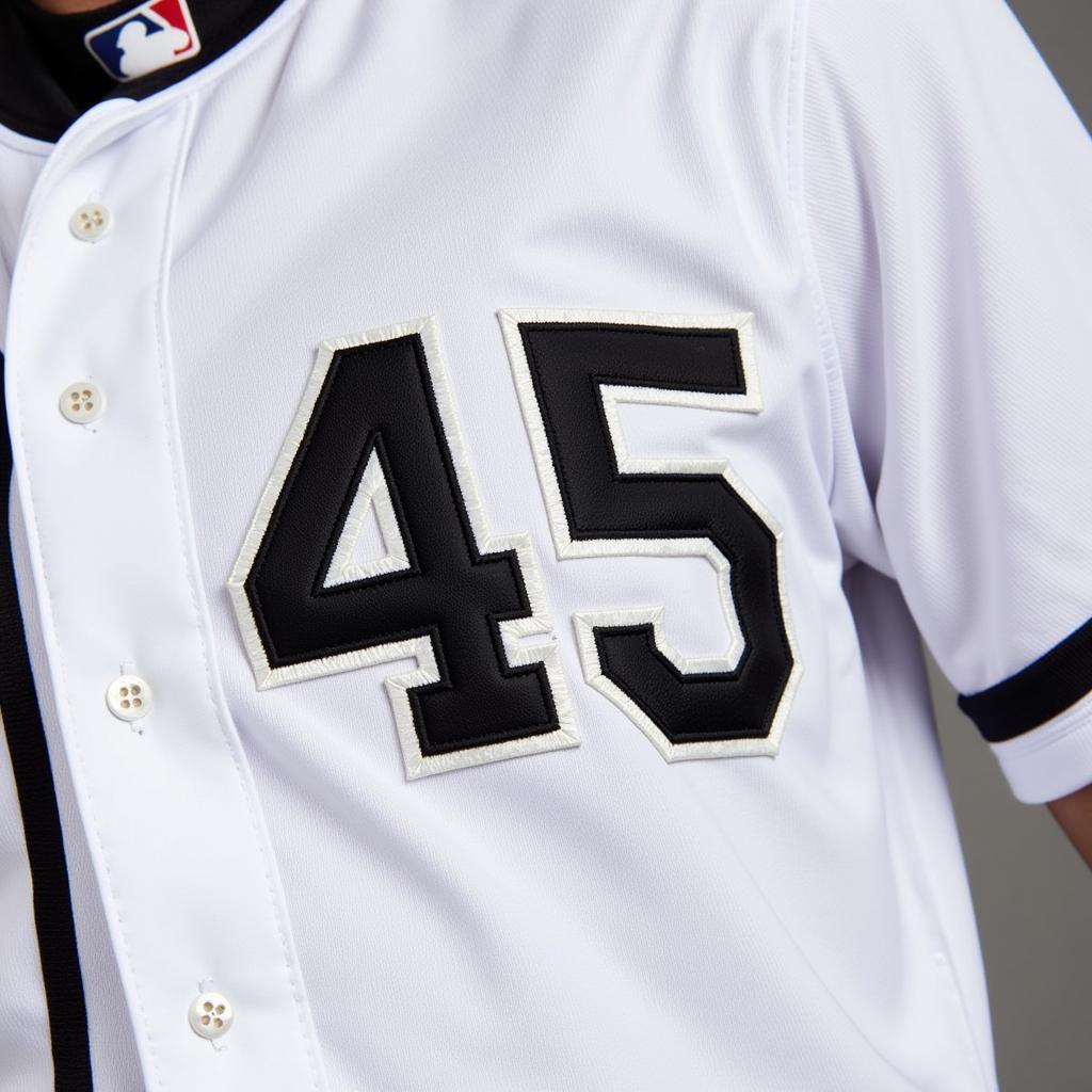 Close-up of the Jordan Sox Jersey Number 45