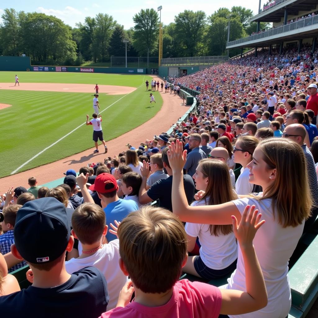 Families and friends cheering on young baseball players