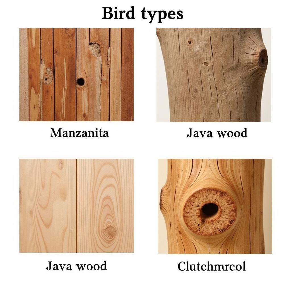 Choosing the Perfect Wood Perch for Your Feathered Friend