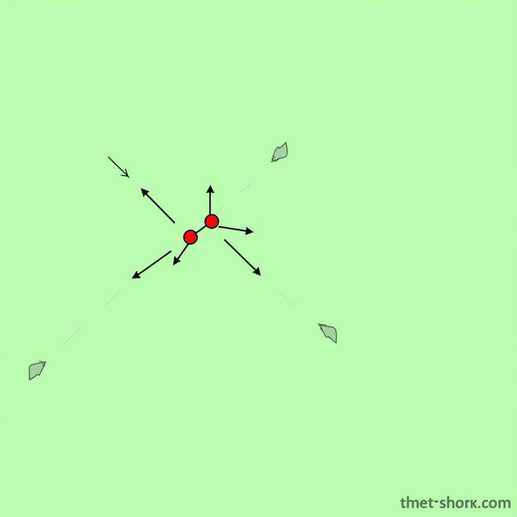 Double Angel Field Formation Diagram