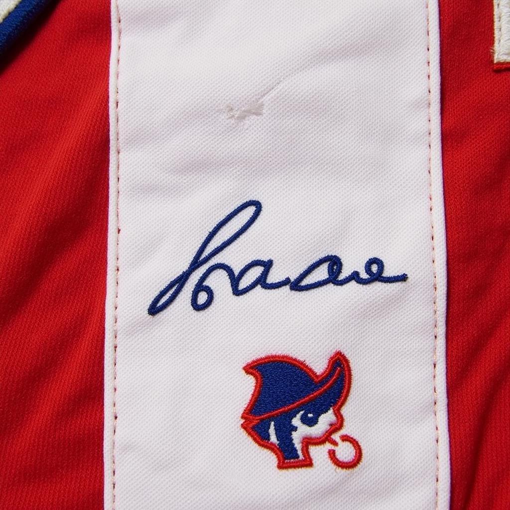 Elly De La Cruz Autographed Jersey Closeup