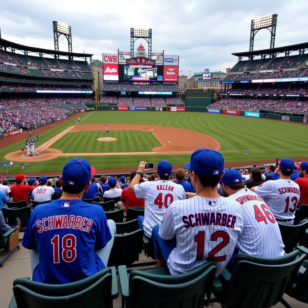 Chicago Cubs fans showing their support for Schwarber