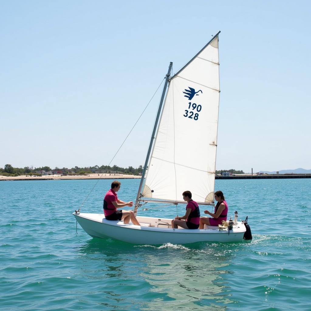  A group of friends joyfully sailing a Catalina 14 on a sunny day, showcasing the boat's capacity for shared adventures and camaraderie on the water. Laughter and excitement fill the air as they navigate the waves together, creating lasting memories. 