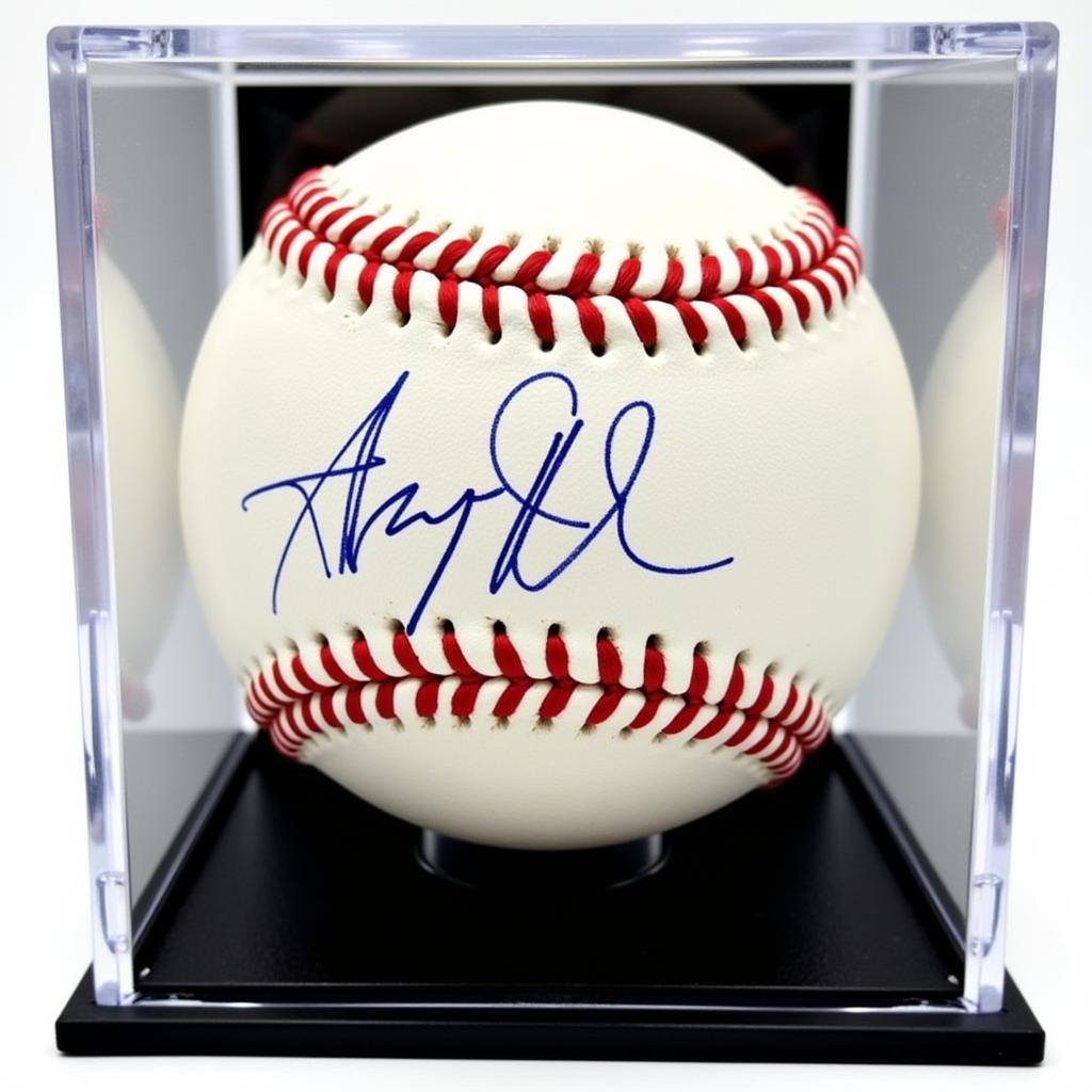 Houston Astros autographed baseball displayed in a case