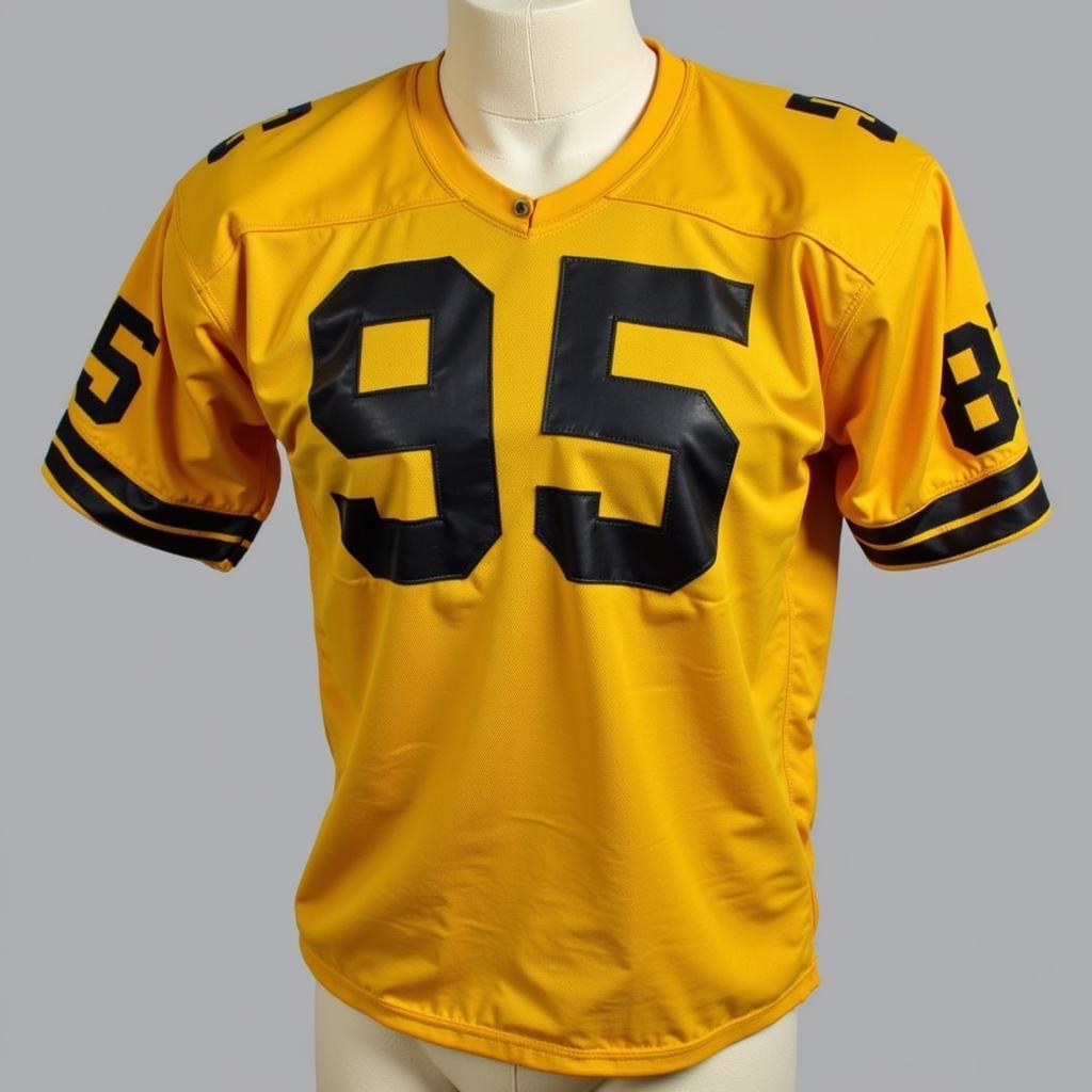 Iowa Hawkeye Vintage Jersey