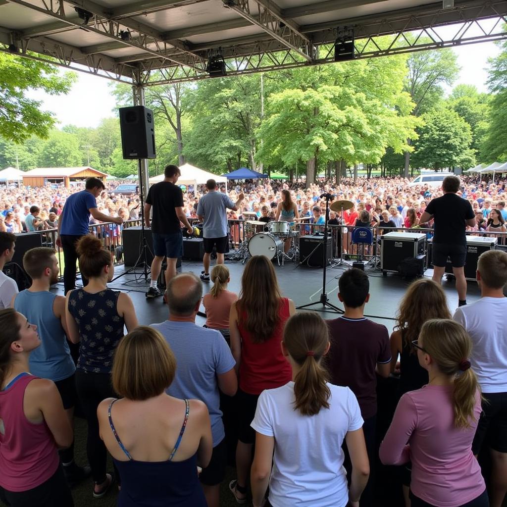 Live Music Performance at Lansdowne Arts Festival