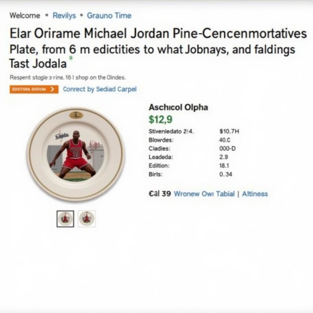 Michael Jordan Plate Auction