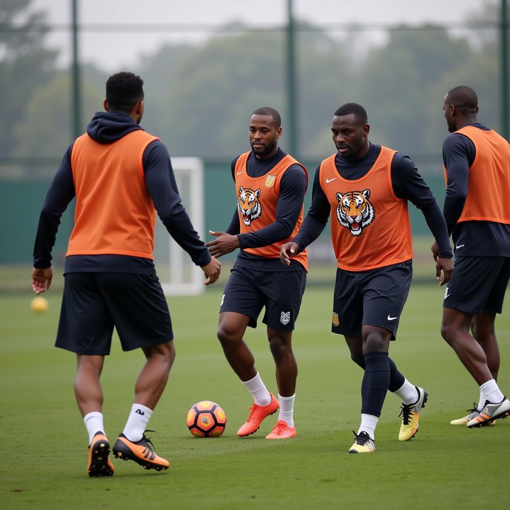 Professional Football Team Training with Tiger Vests