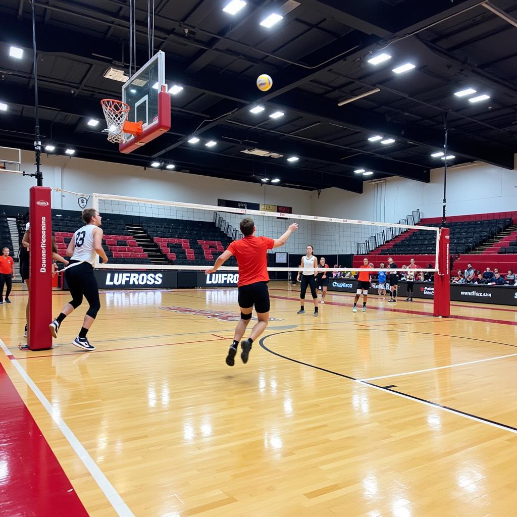 Volleyball Court with Rails System