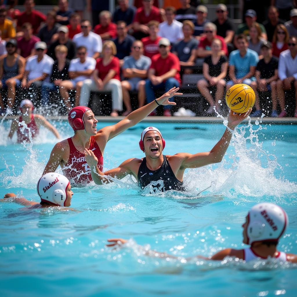 Stanford Club Water Polo game action