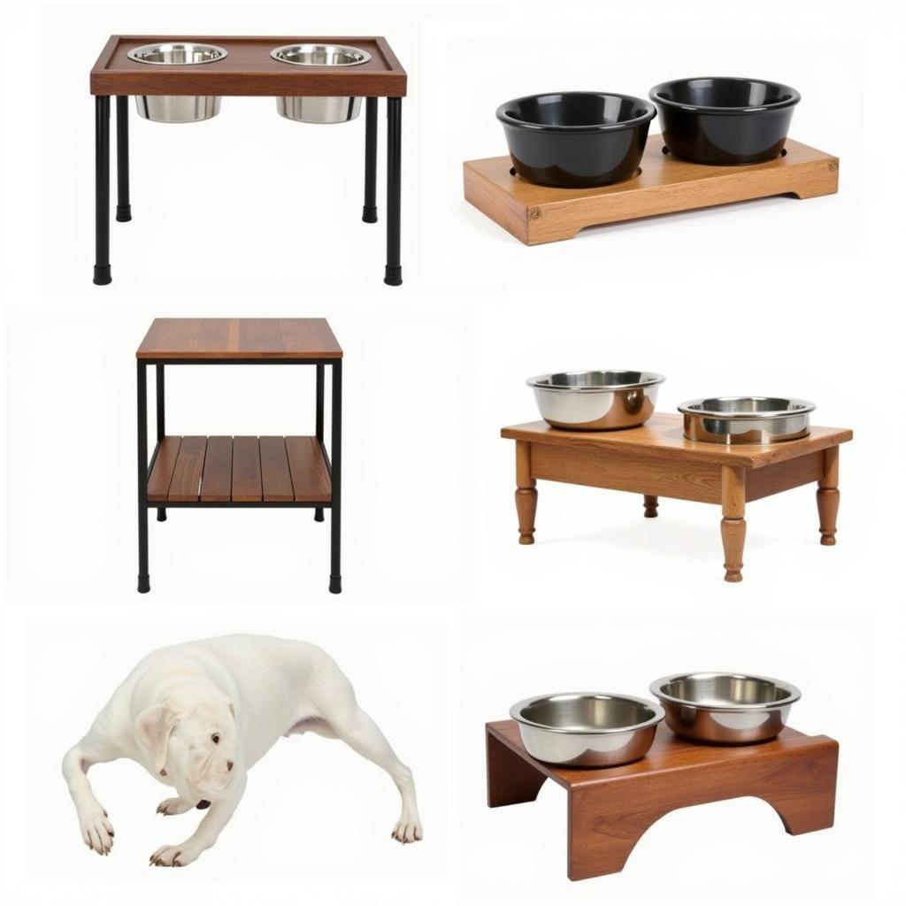 Different Styles of Raised Dog Bowls