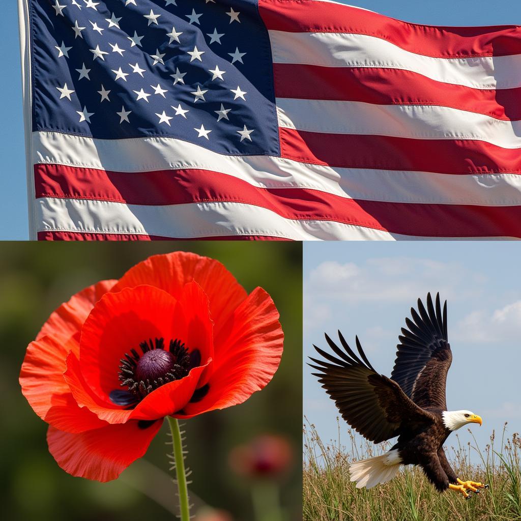 American Flag, Poppy, and Bald Eagle