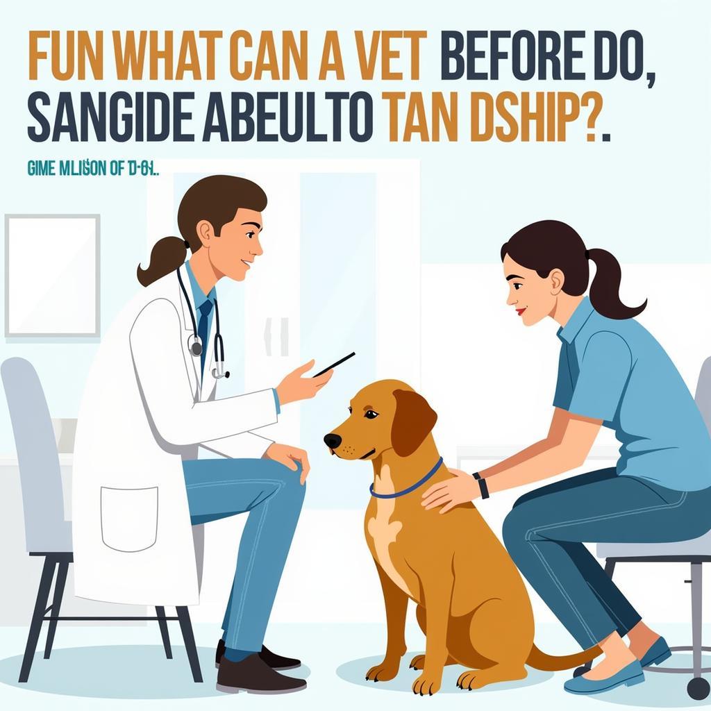 Veterinarian Examining Dog for CF Plus Suitability