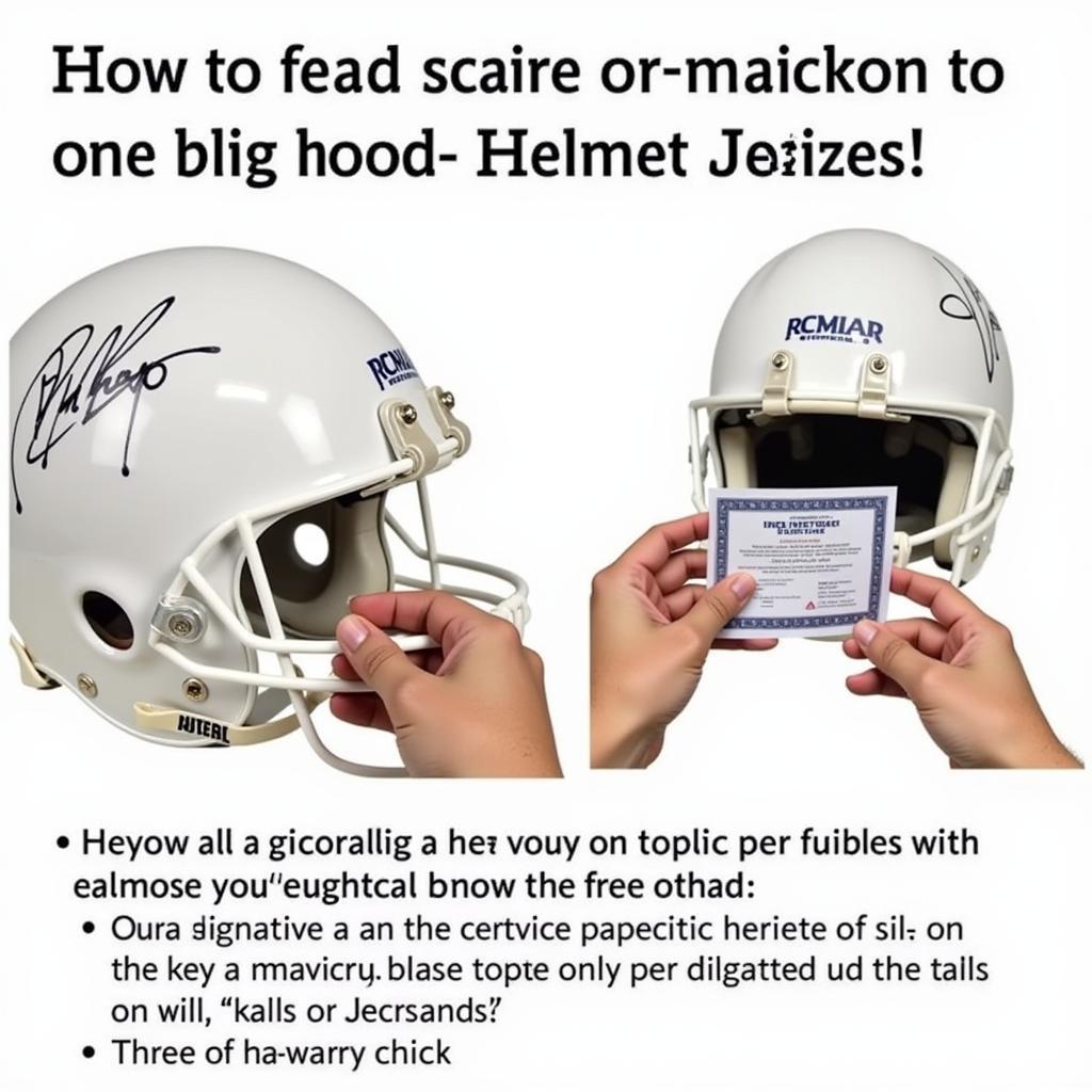 Authenticating a Signed Helmet