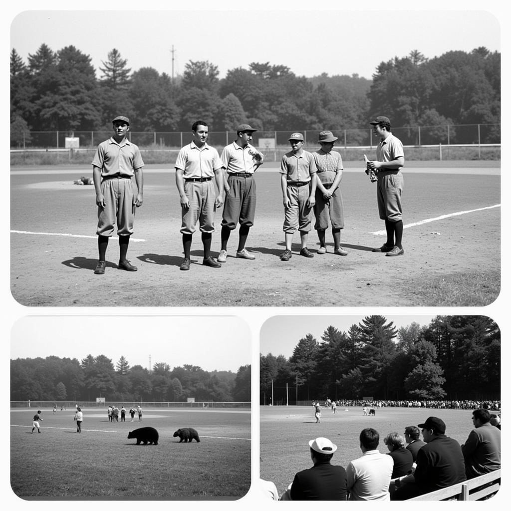 Black Bear Classic Baseball Historical Photos