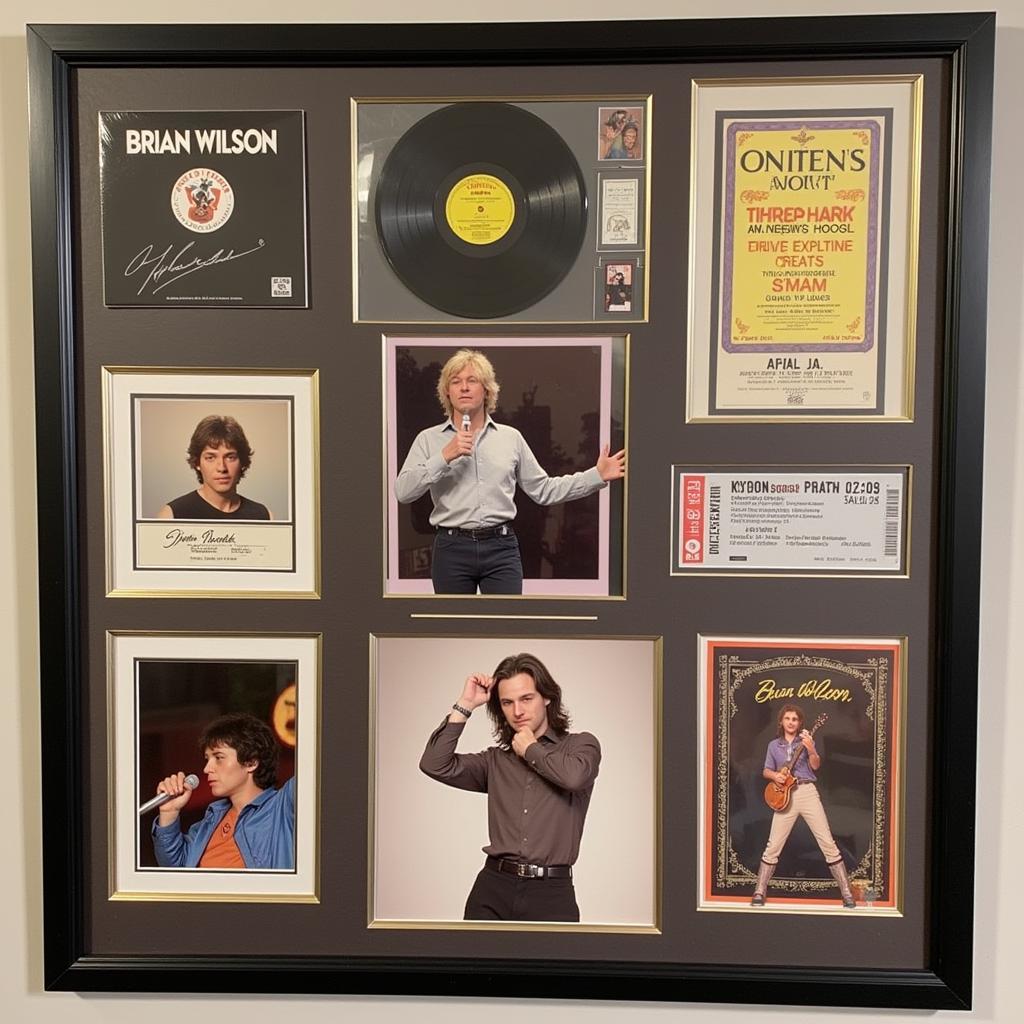 Displaying Brian Wilson Memorabilia