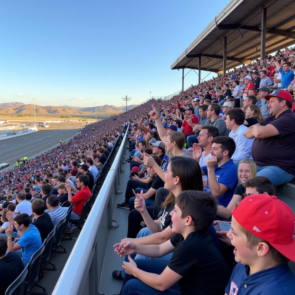 Central Arizona Speedway Fans Cheering