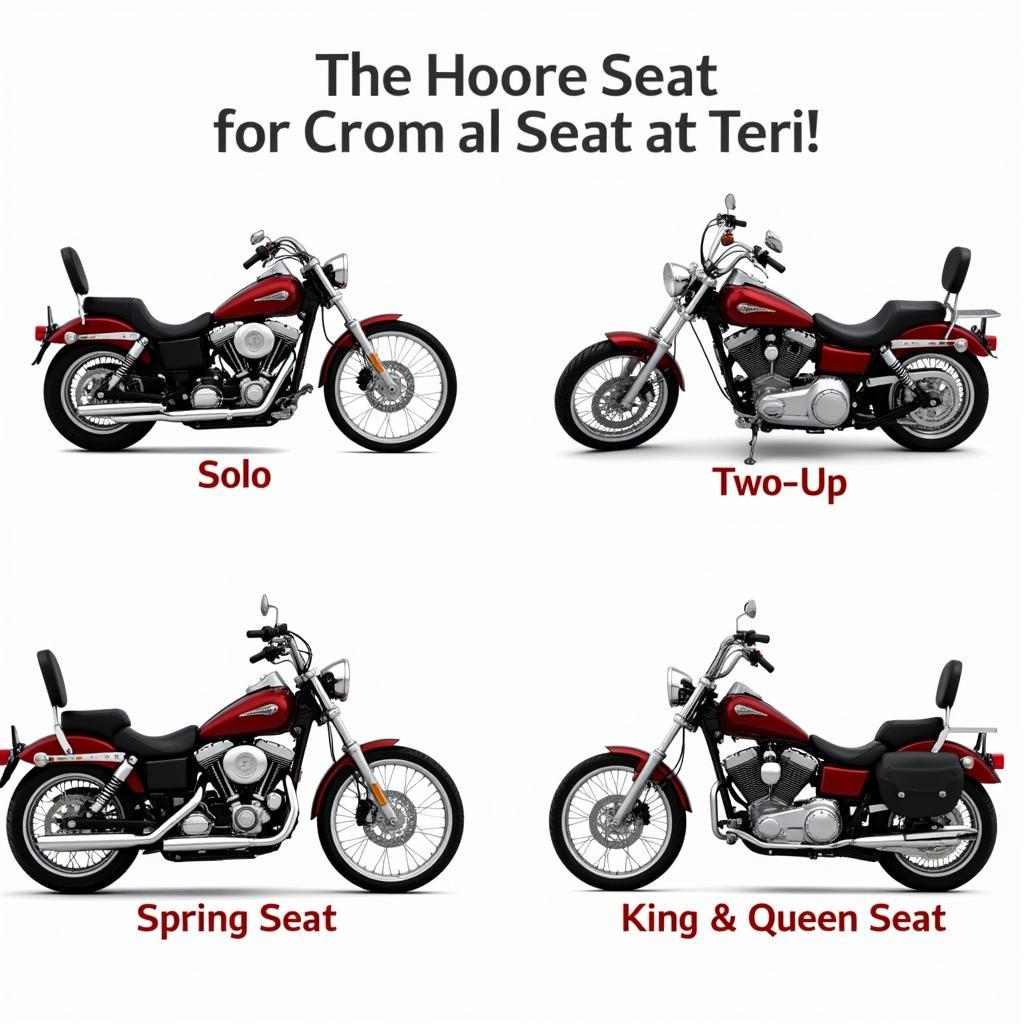 Different Types of Chopper Seats