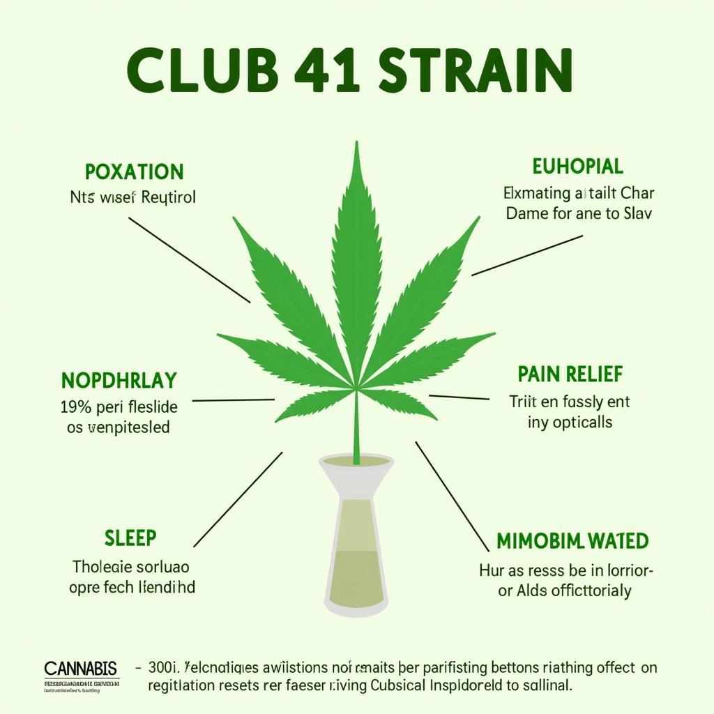 Effects of Club 41 Cannabis