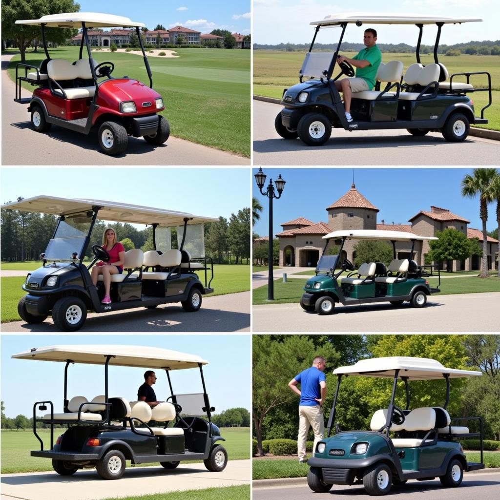 Club Car DS 2005 Different Applications