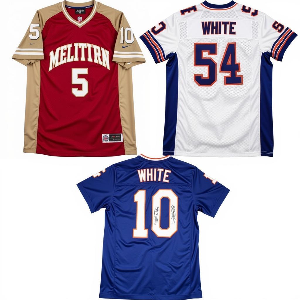 Different variations of the Randy White jersey: Mitchell & Ness throwback, Nike Game jersey, and a signed jersey.