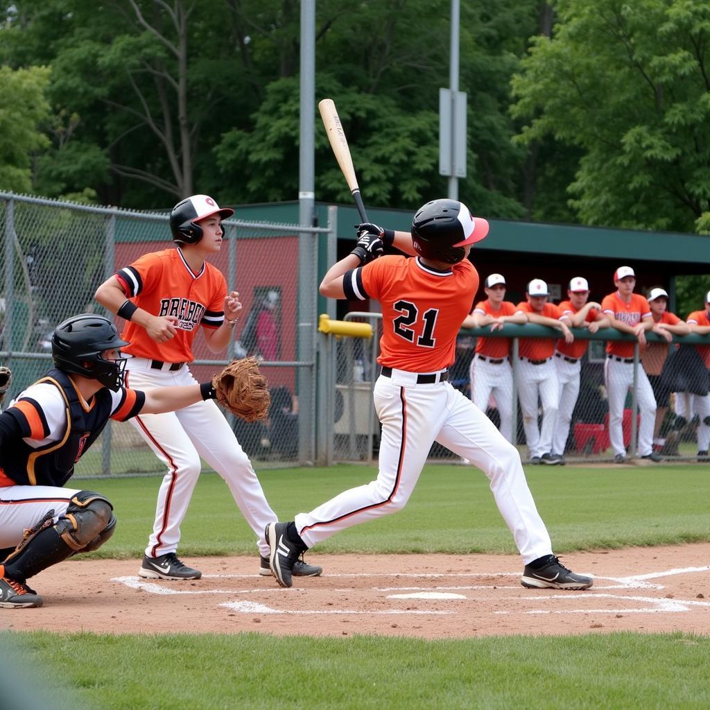 Derry Baseball League Action