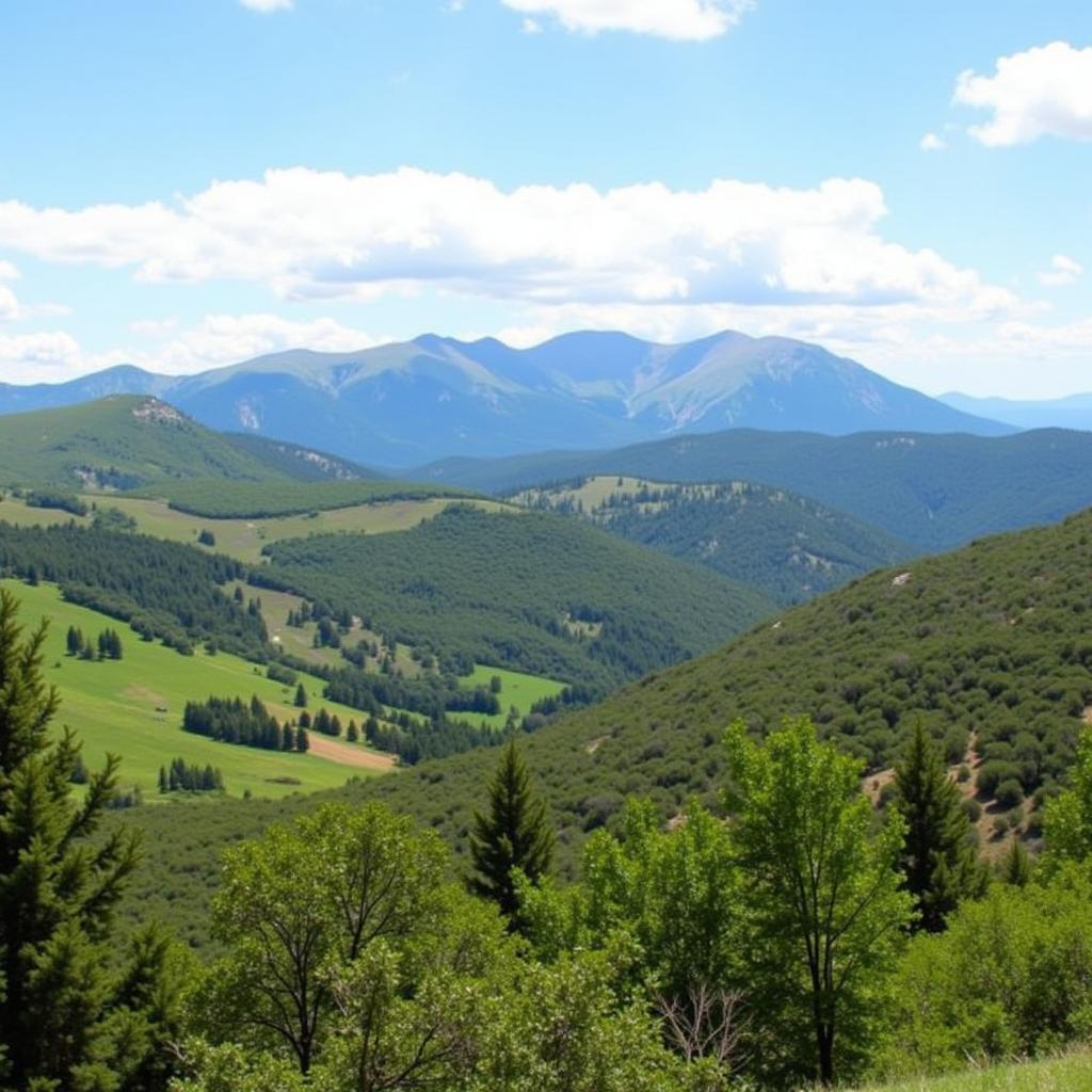 Scenic View at Double H Ranch New Mexico