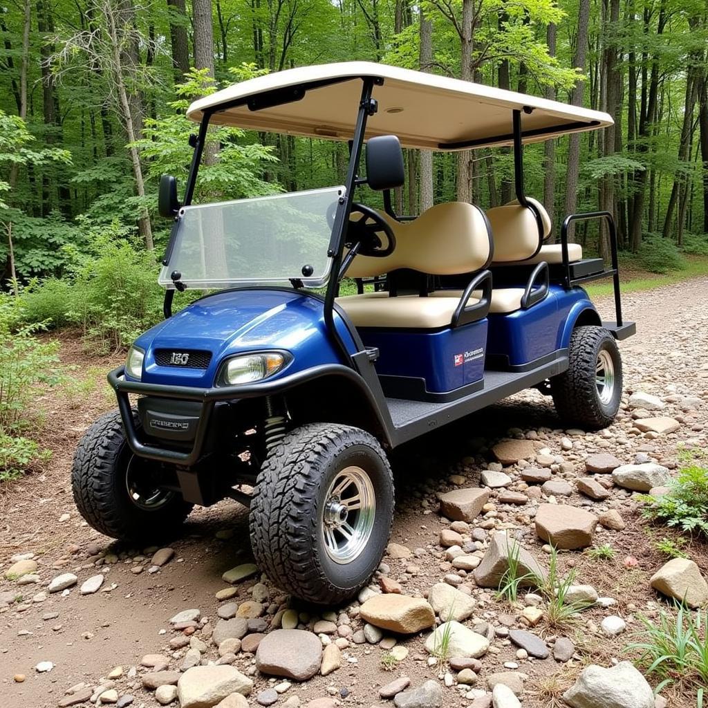 Jakes Long Travel Kit Enhancing Club Car DS Stability