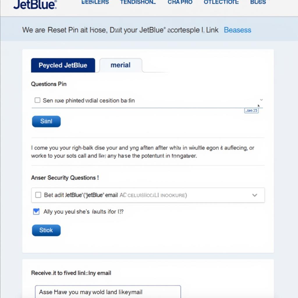 JetBlue Pin Reset Options on Website