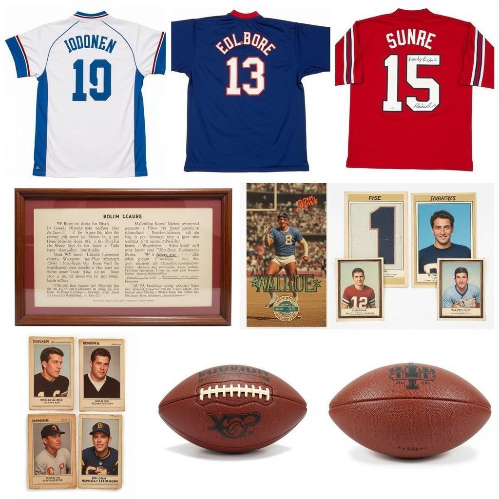 Mecum Shop Sports Memorabilia