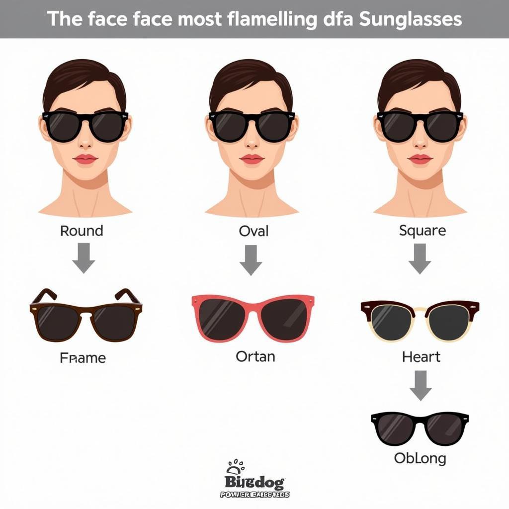 Oversized Sunglasses for Different Face Shapes