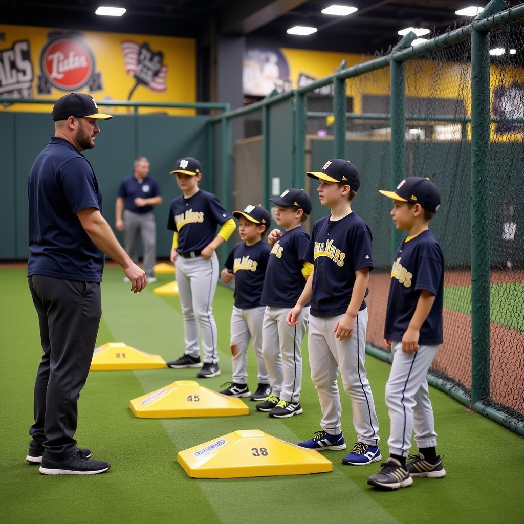 Pittsburgh Youth Baseball Training