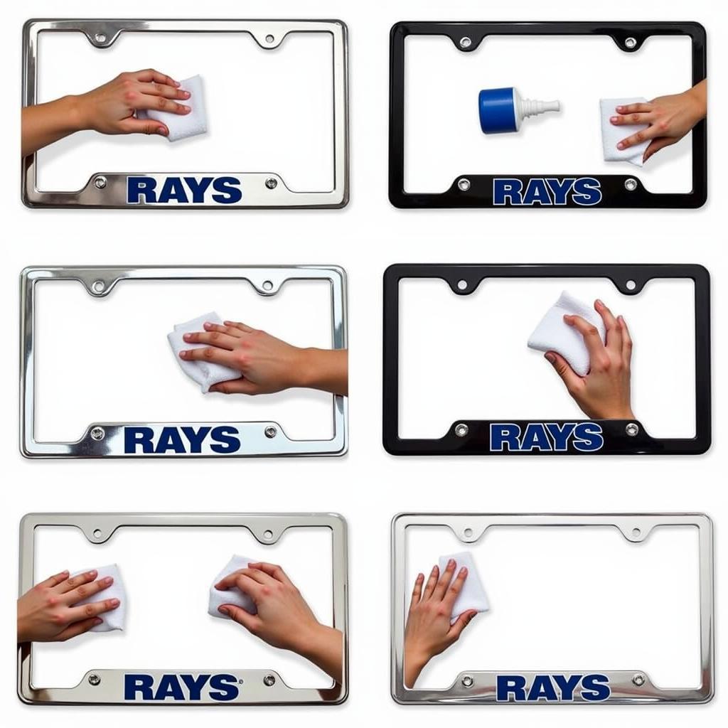 Maintaining Your Tampa Bay Rays License Plate Frame