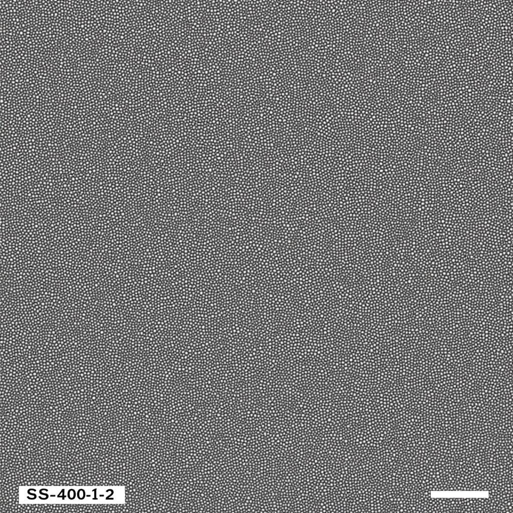 SS-400-1-2 Steel Microstructure