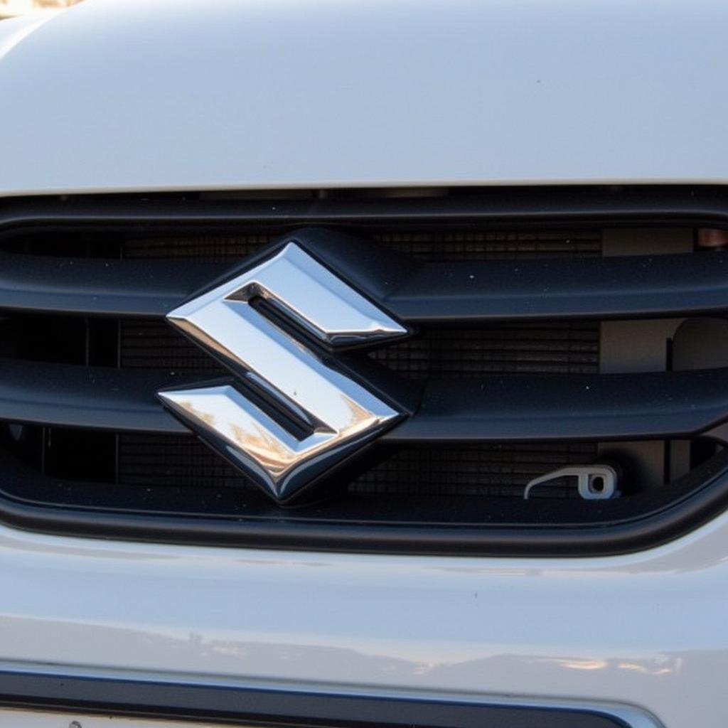 Suzuki Sign: Close-up of Car Grille