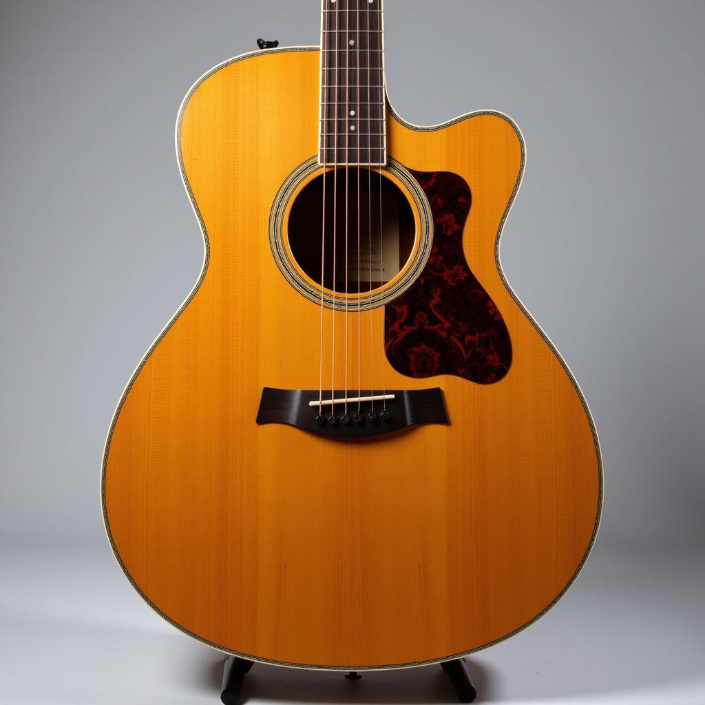 Taylor 600 Series Grand Auditorium