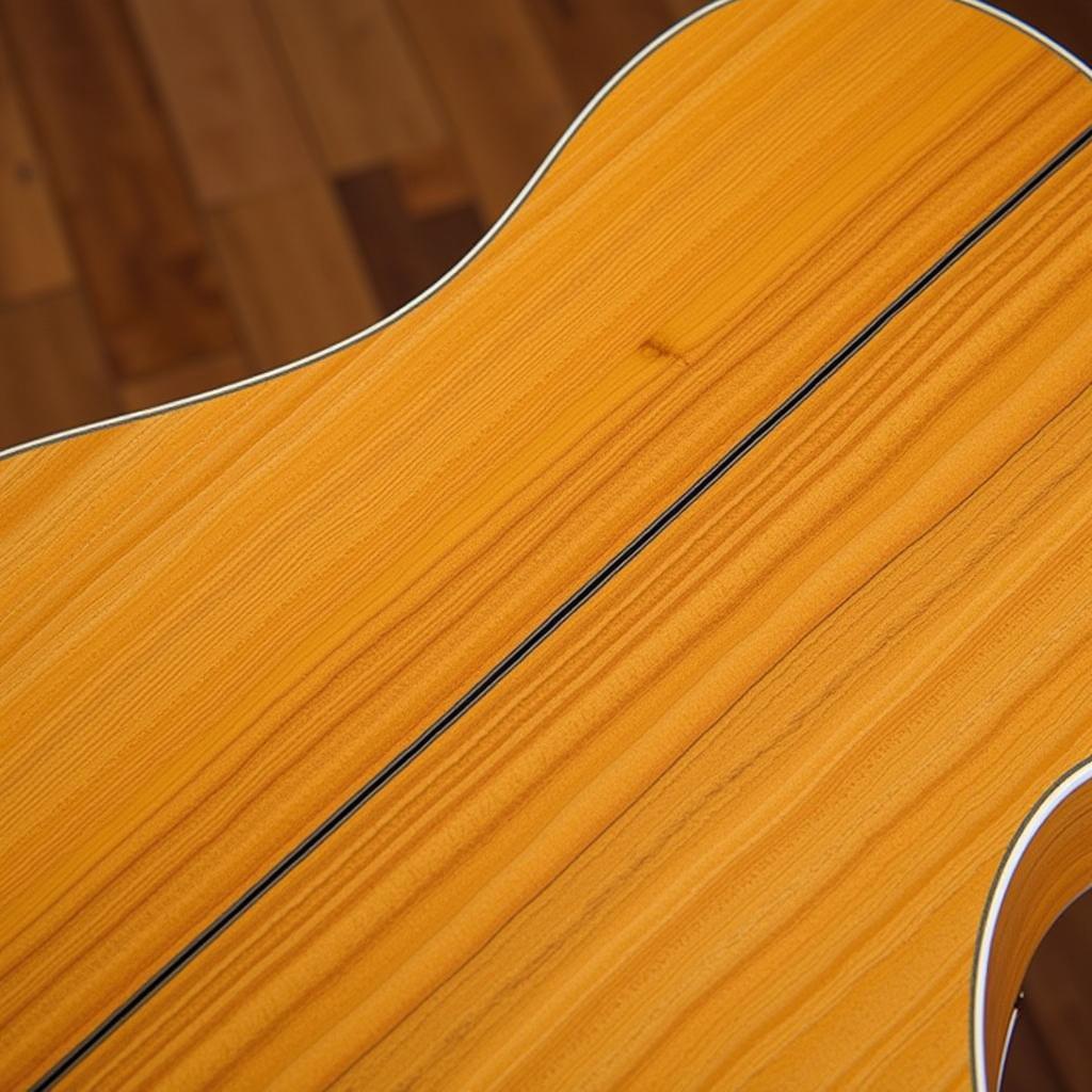 Taylor 600 Series Maple Back and Sides