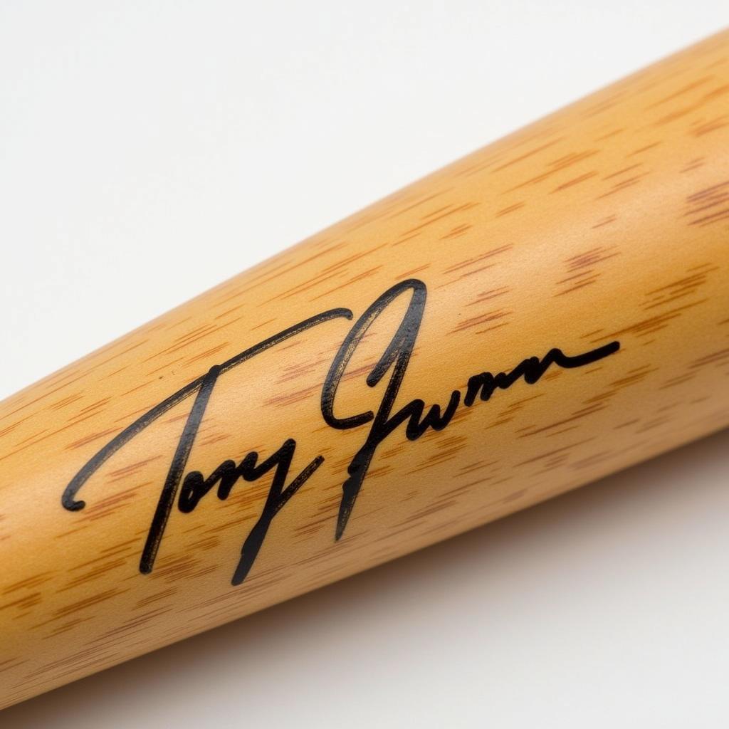 Close-up of a Tony Gwynn Autographed Bat