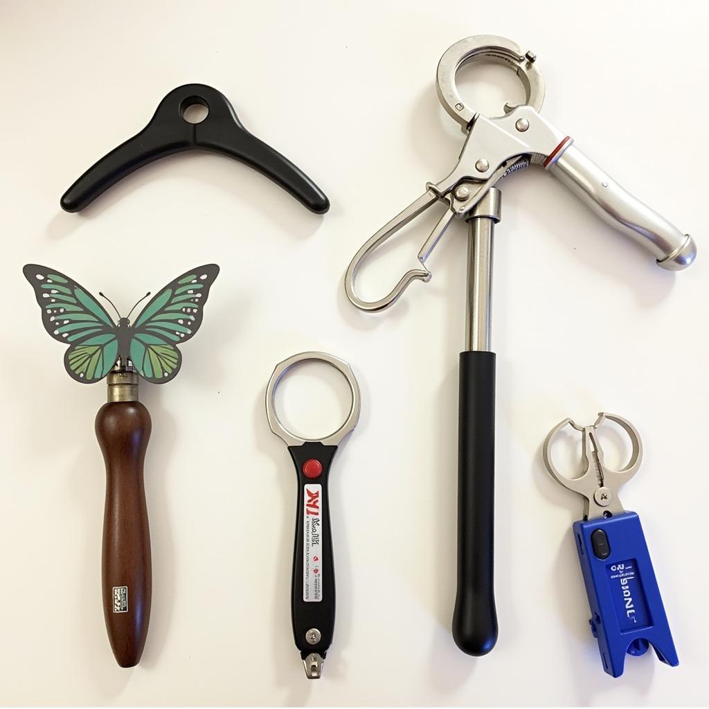 Different Types of Can Openers on Display