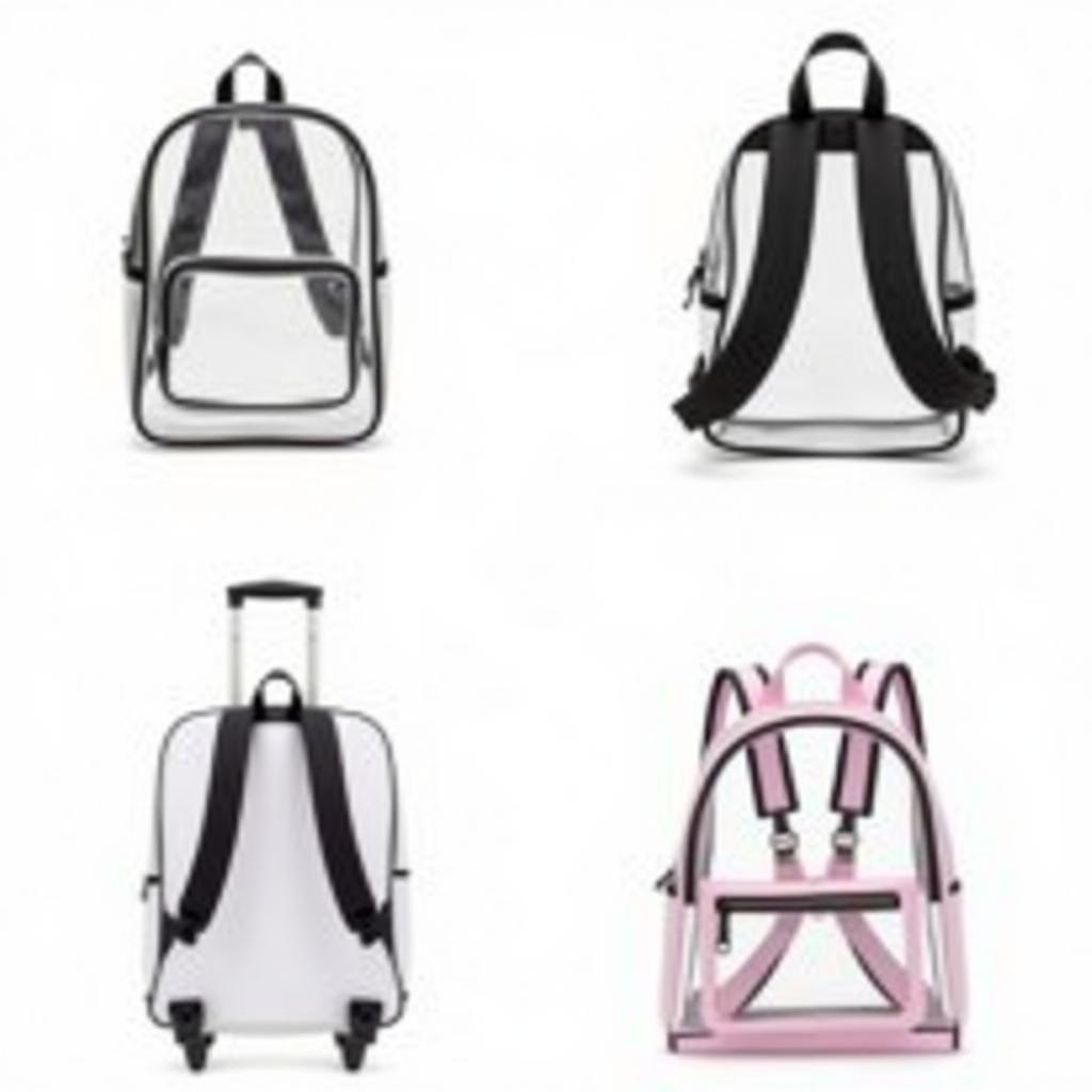 Different Clear Backpack Styles