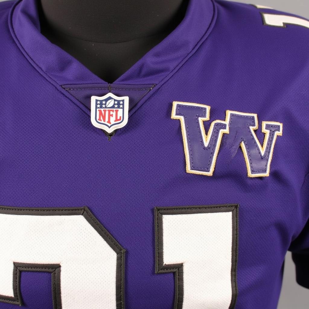 Game-worn Washington Huskies Jersey