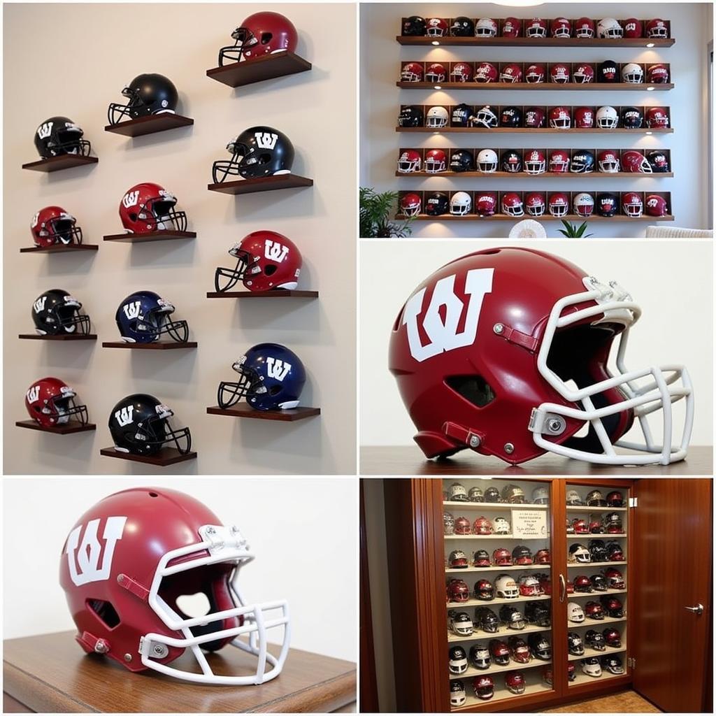 Displaying Your Washington State Mini Helmet Collection