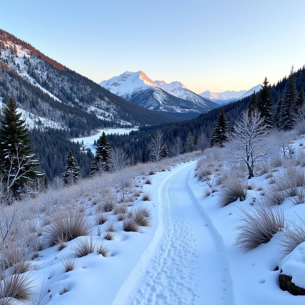 Scenic West Valley Winter Hiking Trail